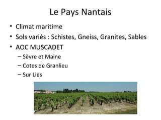 Le Pays Nantais
• Climat maritime
• Sols variés : Schistes, Gneiss, Granites, Sables
• AOC MUSCADET
– Sèvre et Maine
– Cotes de Granlieu
– Sur Lies
 