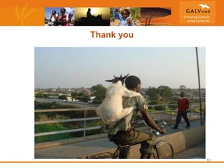 GALVmed and gender: Challenges and lessons learned