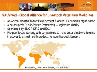 GALVmed and gender: Challenges and lessons learned