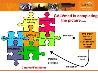GALVmed and gender: Challenges and lessons learned