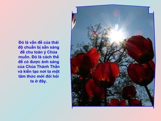 Đó là vấn đề của thái độ chuẩn bị sẵn sàng để chu toàn ý Chúa muốn. Đó là cách thế để có được ánh sáng của Chúa Thánh Thần và kiến tạo nơi ta một tâm thức mới đòi hỏi ta ở đây. 