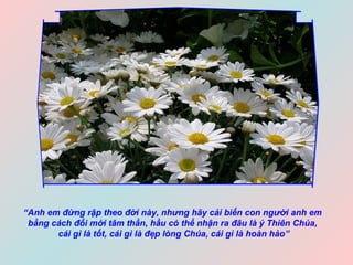 “ Anh em đừng rập theo đời này, nhưng hãy cải biến con người anh em  bằng cách đổi mới tâm thần, hầu có thể nhận ra đâu là ý Thiên Chúa,  cái gì là tốt, cái gì là đẹp lòng Chúa, cái gì là hoàn hảo” 