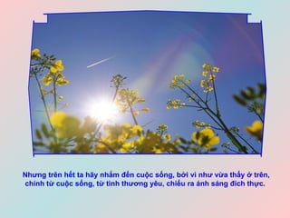 Nhưng trên hết ta hãy nhắm đến cuộc sống, bởi vì như vừa thấy ở trên, chính từ cuộc sống, từ tình thương yêu, chiếu ra ánh sáng đích thực.   