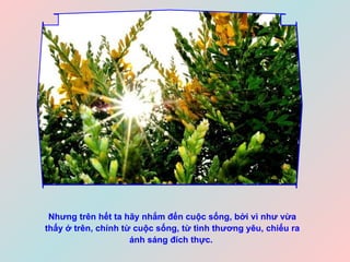 Nhưng trên hết ta hãy nhắm đến cuộc sống, bởi vì như vừa thấy ở trên, chính từ cuộc sống, từ tình thương yêu, chiếu ra ánh sáng đích thực.   