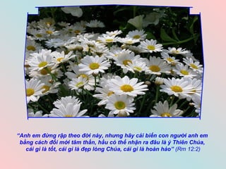 “ Anh em đừng rập theo đời này, nhưng hãy cải biến con người anh em  bằng cách đổi mới tâm thần, hầu có thể nhận ra đâu là ý Thiên Chúa,  cái gì là tốt, cái gì là đẹp lòng Chúa, cái gì là hoàn hảo”  (Rm 12:2) 