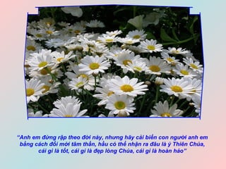 “ Anh em đừng rập theo đời này, nhưng hãy cải biến con người anh em  bằng cách đổi mới tâm thần, hầu có thể nhận ra đâu là ý Thiên Chúa,  cái gì là tốt, cái gì là đẹp lòng Chúa, cái gì là hoàn hảo”   