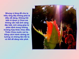 Nhưng vị tông đồ cho ta hiểu rằng đây không phải là điều dễ dàng. Không thể biết rõ được ý Chúa mà không cần một ánh sáng đặc biệt, ánh sáng giúp ta phân định trong những trường hợp khác nhau điều Thiên Chúa muốn nơi ta, bằng cách tránh những ảo tưởng và những lầm lẫn ta có thể dễ dàng mắc phải. 