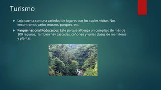 Turismo
 Loja cuenta con una variedad de lugares por los cuales visitar. Nos
encontramos varios museos, parques, etc.
 Parque nacional Podocarpus: Este parque alberga un complejo de más de
100 lagunas, también hay cascadas, cañones y varias clases de mamíferos
y plantas.
 