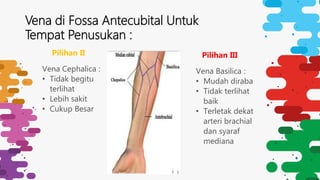 Lokasi pengambilan sampel darah | PPTX