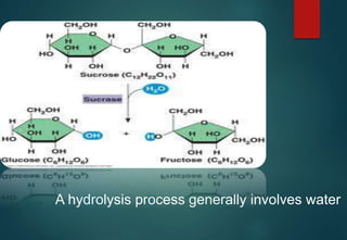 A hydrolysis process generally involves water
 