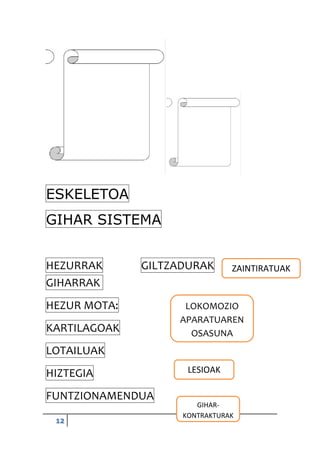 12
ESKELETOA
GIHAR SISTEMA
HEZURRAK GILTZADURAK
GIHARRAK
HEZUR MOTA:
KARTILAGOAK
LOTAILUAK
HIZTEGIA
FUNTZIONAMENDUA
LOKOMOZIO
APARATUAREN
OSASUNA
LESIOAK
GIHAR-
KONTRAKTURAK
ZAINTIRATUAK
