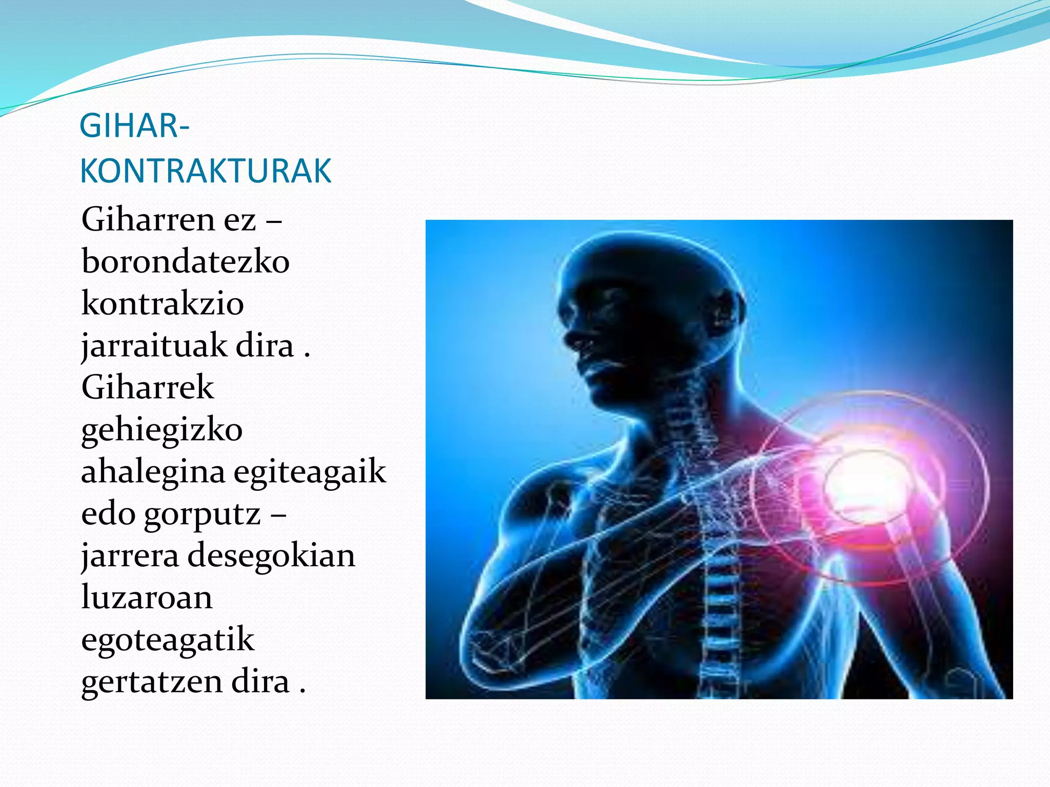 GIHAR-
KONTRAKTURAK
Giharren ez –
borondatezko
kontrakzio
jarraituak dira .
Giharrek
gehiegizko
ahalegina egiteagaik
edo gorputz –
jarrera desegokian
luzaroan
egoteagatik
gertatzen dira .
 
