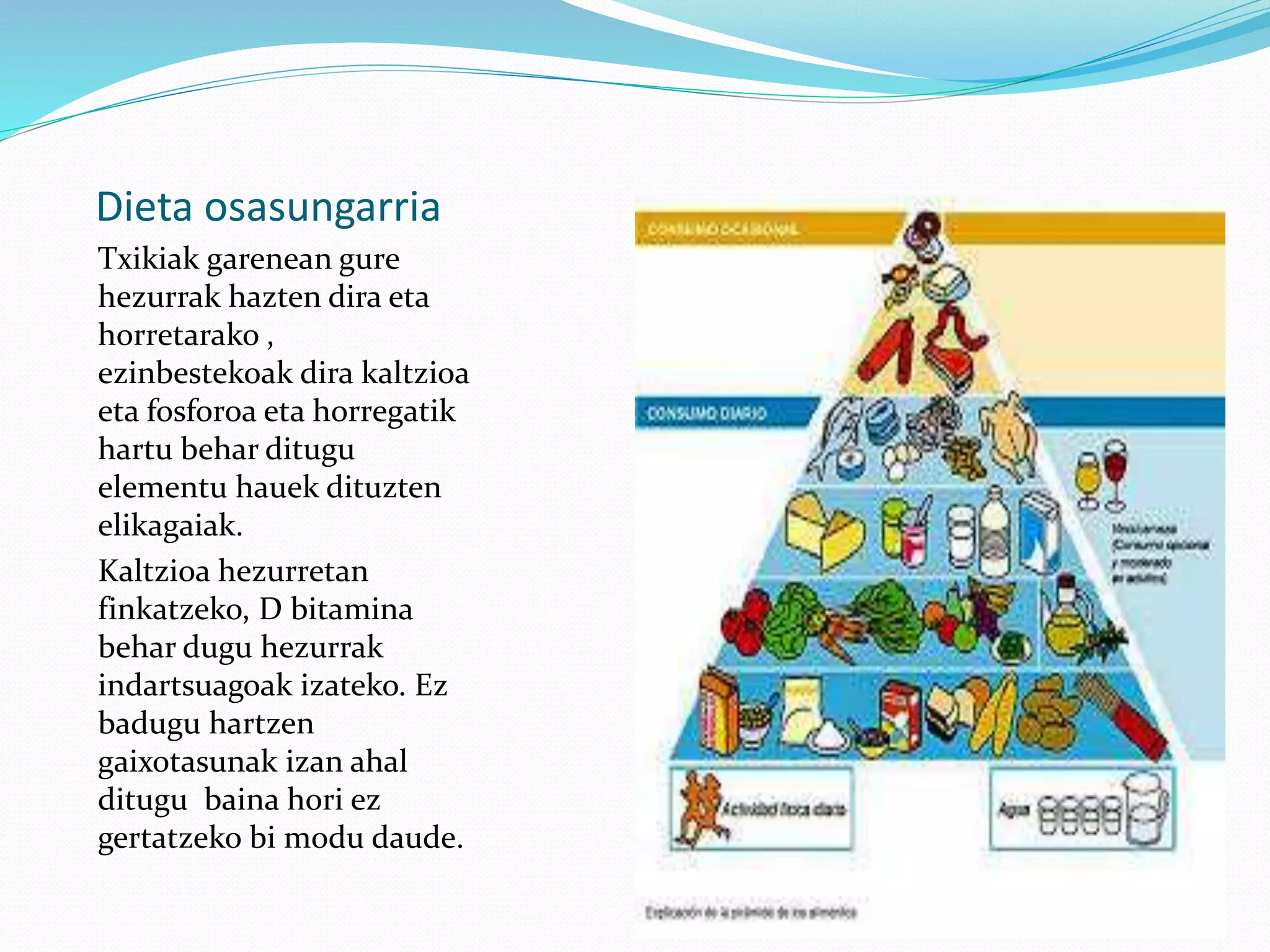 Dieta osasungarria
Txikiak garenean gure
hezurrak hazten dira eta
horretarako ,
ezinbestekoak dira kaltzioa
eta fosforoa eta horregatik
hartu behar ditugu
elementu hauek dituzten
elikagaiak.
Kaltzioa hezurretan
finkatzeko, D bitamina
behar dugu hezurrak
indartsuagoak izateko. Ez
badugu hartzen
gaixotasunak izan ahal
ditugu baina hori ez
gertatzeko bi modu daude.
 