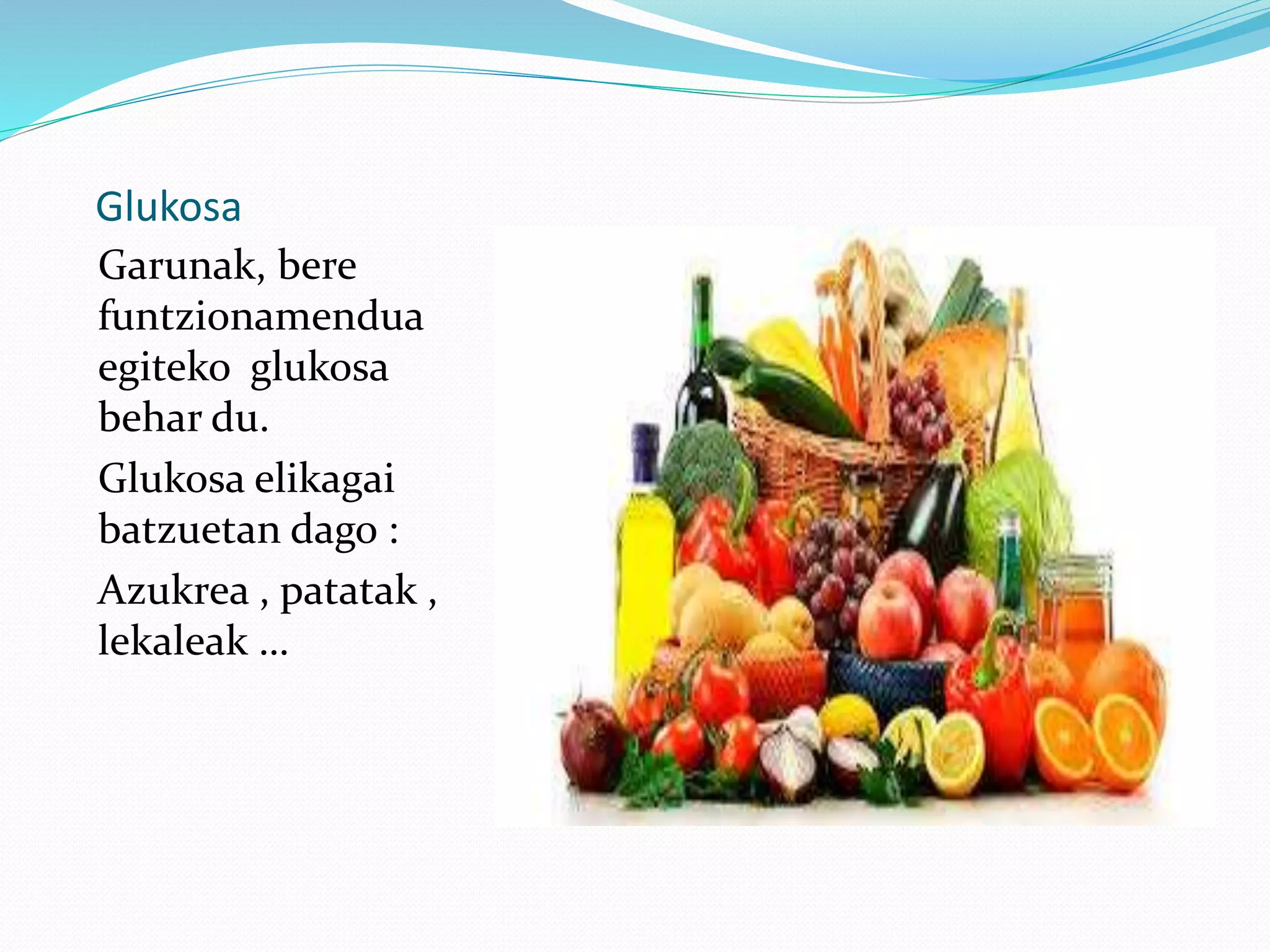 Glukosa
Garunak, bere
funtzionamendua
egiteko glukosa
behar du.
Glukosa elikagai
batzuetan dago :
Azukrea , patatak ,
lekaleak …
 