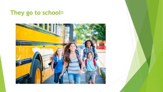 They go to school﻿
 