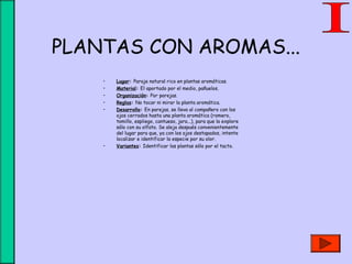 PLANTAS CON AROMAS...
• Lugar: Paraje natural rico en plantas aromáticas.
• Material: El aportado por el medio, pañuelos.
• Organización: Por parejas.
• Reglas: No tocar ni mirar la planta aromática.
• Desarrollo: En parejas, se lleva al compañero con los
ojos cerrados hasta una planta aromática (romero,
tomillo, espliego, cantueso, jara...), para que la explore
sólo con su olfato. Se aleja después convenientemente
del lugar para que, ya con los ojos destapados, intente
localizar e identificar la especie por su olor.
• Variantes: Identificar las plantas sólo por el tacto.
 