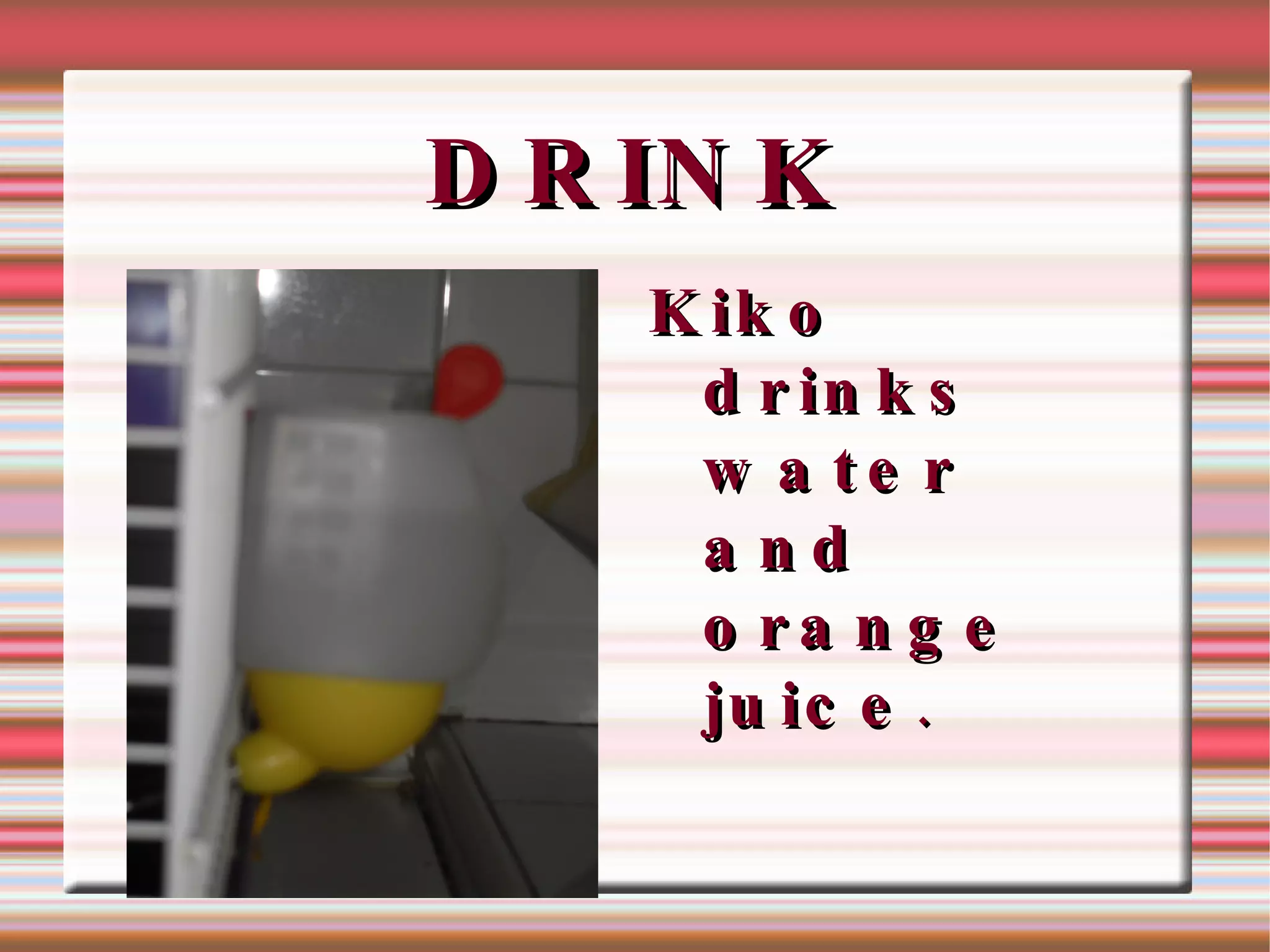 EATS kiko  eats  hámster  food , fruits  and  fingers. 