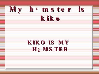 My  hámster  is  kiko KIKO IS MY  HÁMSTER 