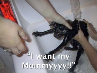 “I want my Ѵǳ!!”
 