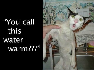 “You call
 this water
 warm???”
 