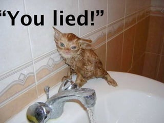 “You lied!”
 