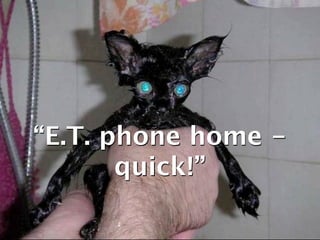 “E.T. phone home - quick!”
 