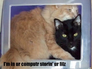 Lolcats