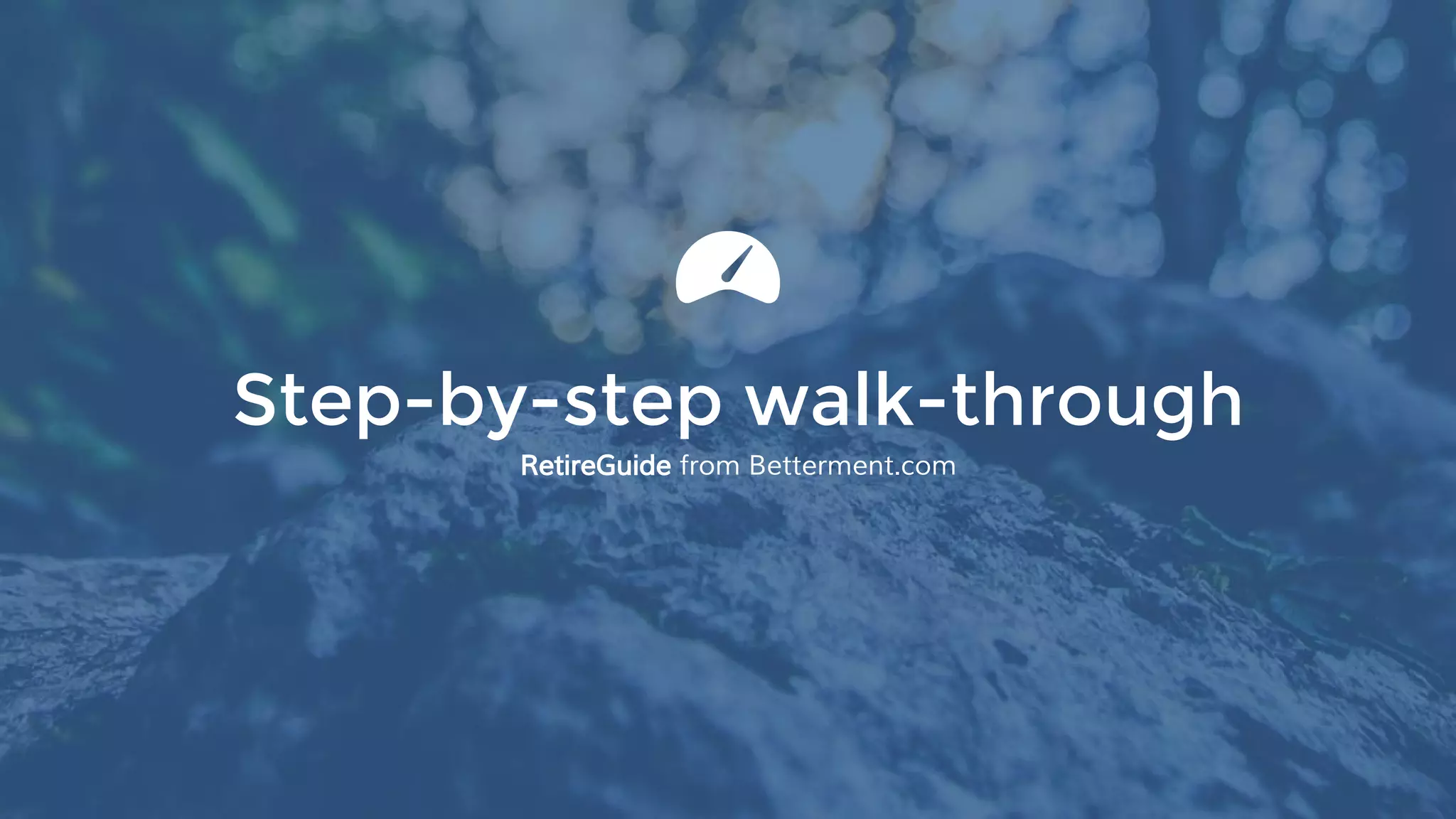 Step-by-step walk-through
RetireGuide from Betterment.com
 
