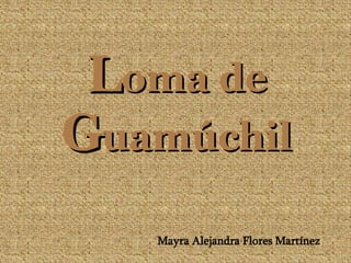 L oma de  G uamúchil Mayra Alejandra Flores Martínez 