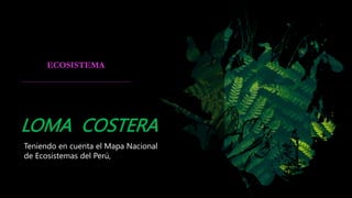 LOMA COSTERA
Teniendo en cuenta el Mapa Nacional
de Ecosistemas del Perú,
ECOSISTEMA
 