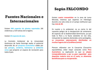 Fuentes Nacionales e
Internacionales
Existen 444 especies de plantas reportadas (46
endemicas y 319 nativas de la región).
Existen 33 especies de aves.
La Comisión Ambiental de la Universidad
Autónoma de Santo Domingo exalta el potencial
desarrollo de un proyecto ecoturístico viable por
sus paisajes, senderos, balnearios y ambiente
único que propone un espacio de recreación para
todo el pais.
Existen cuatro manantiales en la zona de Loma
Miranda, mientras que expertos en hidrología
durante una sola visita en el campo notificaron que
hay más de 40.
En cuanto a lo ambiental, no es cierto lo del
supuesto peligro de la desaparición de centenares
de especies de la biodiversidad dominicana, ya que
toda la flora y la fauna existente en ese sitio,
incluyendo las especies declaradas como protegidas,
se encuentran extensamente distribuidas en
muchos lugares de la Cordillera Central.
Piensan reforestar con la Casuarina (Casuarina
equisetifolia), árbol mejor conocido como Pino
Australiano La explicación es que se adapta
inmejorablemente y por su gran capacidad para
depositar materia seca en el suelo, es altamente
beneficiosa para su recuperación.
Según FALCONDO
 