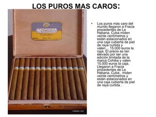 LOS PUROS MAS CAROS :  <ul><li>Los puros más caro del mundo llegaron a Fracia procedentes de La Habana, Cuba miden veinte ...