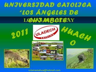LOMAS DE LACHAY [email_address] UNIVERSIDAD CATOLICA  “ LOS ÁNGELES DE CHIMBOTE” 2011 HUACHO 
