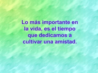 Lo más importante en
 la vida, es el tiempo
   que dedicamos a
cultivar una amistad.
 