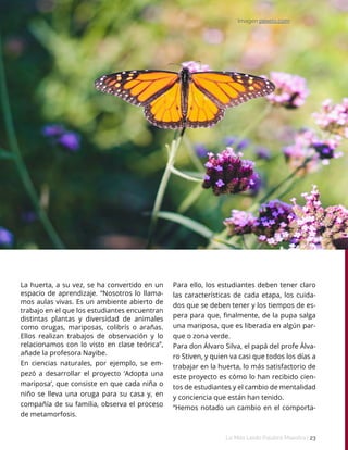 Lo Más Leido Palabra Maestra | 23
Imagen pexels.com
La huerta, a su vez, se ha convertido en un
espacio de aprendizaje. “Nosotros lo llama-
mos aulas vivas. Es un ambiente abierto de
trabajo en el que los estudiantes encuentran
distintas plantas y diversidad de animales
como orugas, mariposas, colibrís o arañas.
Ellos realizan trabajos de observación y lo
relacionamos con lo visto en clase teórica”,
añade la profesora Nayibe.
En ciencias naturales, por ejemplo, se em-
pezó a desarrollar el proyecto ‘Adopta una
mariposa’, que consiste en que cada niña o
niño se lleva una oruga para su casa y, en
compañía de su familia, observa el proceso
de metamorfosis.
Para ello, los estudiantes deben tener claro
las características de cada etapa, los cuida-
dos que se deben tener y los tiempos de es-
pera para que, finalmente, de la pupa salga
una mariposa, que es liberada en algún par-
que o zona verde.
Para don Álvaro Silva, el papá del profe Álva-
ro Stiven, y quien va casi que todos los días a
trabajar en la huerta, lo más satisfactorio de
este proyecto es cómo lo han recibido cien-
tos de estudiantes y el cambio de mentalidad
y conciencia que están han tenido.
“Hemos notado un cambio en el comporta-
 