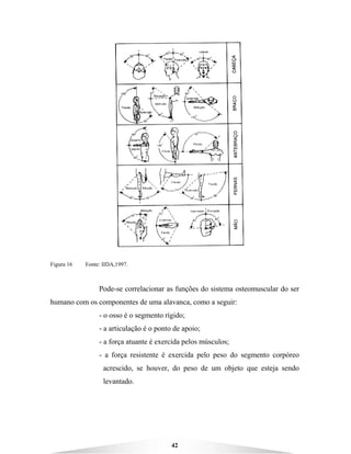 42
Figura 16 Fonte: IIDA,1997.
Pode-se correlacionar as funções do sistema osteomuscular do ser
humano com os componentes de uma alavanca, como a seguir:
- o osso é o segmento rígido;
- a articulação é o ponto de apoio;
- a força atuante é exercida pelos músculos;
- a força resistente é exercida pelo peso do segmento corpóreo
acrescido, se houver, do peso de um objeto que esteja sendo
levantado.
 