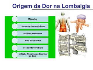 Músculos
Ligamento Interespinhoso
Apófises Articulares
Artic. Sacro-Iliaca
Discos Intervertebrais
Irritação Mecanica ou Quimica
da Dura
Origem da Dor na Lombalgia
 