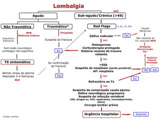 Suspeita de fractura
Lombalgia
Aguda
Urgência hospitalar
Sub-aguda/Crónica (>4S)
Não Traumática Traumática*
Alertar sinais de alarme
Reavaliar 2-4 Semanas
Diagnóstico
Diferencial
TX sintomático
Ortopedia
RX
TAC
Red Flags
Refractária ao Tx
>50A
Suspeita de neoplasia (perda ponderal)
AP: neoplasia
Osteoporose
Corticoterapia prologada
História recente de trauma
violento
Défice radicular
Suspeita de compressão cauda equina
Défice neurológico progressiva
Suspeita de infecção vertebral
(HD, drogas ev, HIV, septicemia, imunodeprimido,
febre)
Cirurgia lombar prévia
A, Rx, TC, RM…
TAC
TAC
NãO
Não
NãO
NãO
Exames
Causas
Mecânicas
Não resposta ao
TX, incluindo MFR
Ortopedia
Neurocirurgia
Dor
Medicina
Interna
Oncologia
…..
MGF
MGF RX
RM
Sem lesão neurológica
Lombalgia não-específica
MFR
Medicina Interna
Se confirmação
de fractura
*Queda, acidente
 