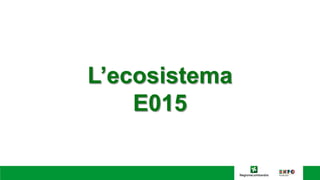 L’ecosistema
E015
 