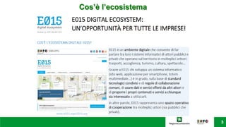 Cos’è l’ecosistema
 