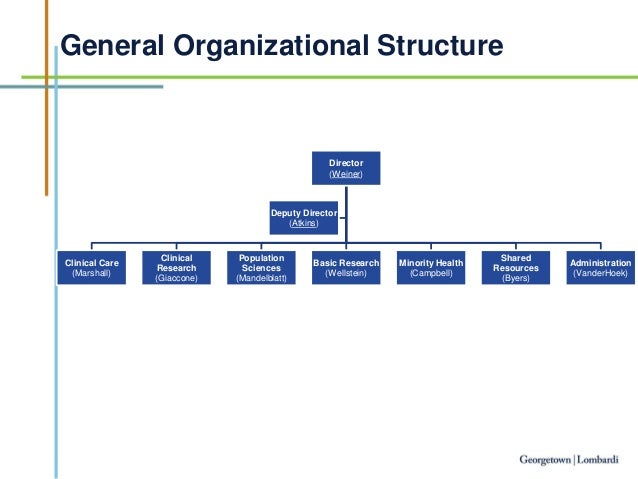 Cancer Center Organizational Chart