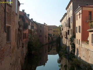 MANTUA
 