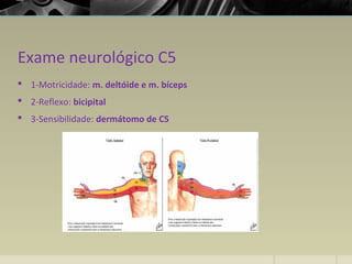 Exame neurológico C5
 1-Motricidade: m. deltóide e m. bíceps
 2-Reflexo: bicipital
 3-Sensibilidade: dermátomo de C5
 