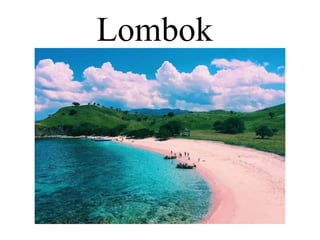 Lombok
 