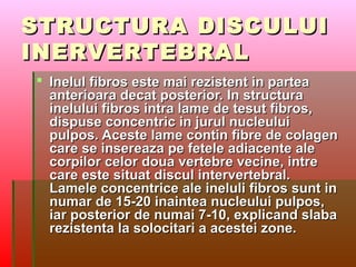 STRUCTURA DISCULUISTRUCTURA DISCULUI
INERVERTEBRALINERVERTEBRAL
 Inelul fibros este mai rezistent in partea Inelul fibros este mai rezistent in partea 
anterioara decat posterior. In structura anterioara decat posterior. In structura 
inelului fibros intra lame de tesut fibros, inelului fibros intra lame de tesut fibros, 
dispuse concentric in jurul nucleului dispuse concentric in jurul nucleului 
pulpos. Aceste lame contin fibre de colagen pulpos. Aceste lame contin fibre de colagen 
care se insereaza pe fetele adiacente ale care se insereaza pe fetele adiacente ale 
corpilor celor doua vertebre vecine, intre corpilor celor doua vertebre vecine, intre 
care este situat discul intervertebral. care este situat discul intervertebral. 
Lamele concentrice ale ineluli fibros sunt in Lamele concentrice ale ineluli fibros sunt in 
numar de 15-20 inaintea nucleului pulpos, numar de 15-20 inaintea nucleului pulpos, 
iar posterior de numai 7-10, explicand slaba iar posterior de numai 7-10, explicand slaba 
rezistenta la solocitari a acestei zone.rezistenta la solocitari a acestei zone.
 