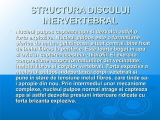 STRUCTURA DISCULUISTRUCTURA DISCULUI
INERVERTEBRALINERVERTEBRAL
 Nucleul pulpos capteaza apa si dezvolta astfel oNucleul pulpos capteaza apa si dezvolta astfel o
forta exploziva. Nucleul pulpos este o formatiuneforta exploziva. Nucleul pulpos este o formatiune
sferica de natura gelatinoasa situat central, bine fixatsferica de natura gelatinoasa situat central, bine fixat
de inelul fibros la periferie. Este foarte bogat in apade inelul fibros la periferie. Este foarte bogat in apa
si avid in captarea acesteia - hidrofil. El exercitasi avid in captarea acesteia - hidrofil. El exercita
compresiune asupra formatiunilor din vecinatate:compresiune asupra formatiunilor din vecinatate:
inelului fibros si corpilor vertebrali. Forta expoziva ainelului fibros si corpilor vertebrali. Forta expoziva a
nucleului pulpos indeparteaza corpii vetebrali sinucleului pulpos indeparteaza corpii vetebrali si
pune in stare de tensiune inelul fibros, care tinde sa-pune in stare de tensiune inelul fibros, care tinde sa-
i apropie din nou. Prin intermediul unor mecanismei apropie din nou. Prin intermediul unor mecanisme
complexe, nucleul pulpos normal atrage si capteazacomplexe, nucleul pulpos normal atrage si capteaza
apa si astfel dezvolta presiuni interioare ridicate cuapa si astfel dezvolta presiuni interioare ridicate cu
forta brizanta exploziva.forta brizanta exploziva.
 