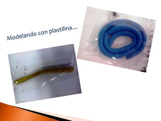 Modelando con plastilina… 