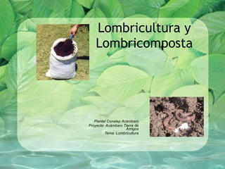 Lombricultura y Lombricomposta Plantel Conalep Acámbaro Proyecto: Acámbaro Tierra de Amigos Tema: Lombricultura 