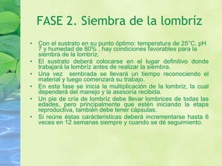 FASE 2. Siembra de la lombríz Con el sustrato en su punto óptimo: temperatura de 25°C, pH 7 y humedad de 80% , hay condiciones favorables para la siembra de la lombríz.  El sustrato deberá colocarse en el lugar definitivo donde trabajará la lombríz antes de realizar la siembra.  Una vez  sembrada se llevará un tiempo reconociendo el material y luego comenzará su trabajo.  En esta fase se inicia la multiplicación de la lombríz, la cual dependerá del manejo y la asesoría recibida.  Un pie de cría de lombríz debe llevar lombrices de todas las edades, pero principalmente que estén iniciando la etapa reproductiva, también debe tener cápsulas.  Si reúne éstas carácteristicas deberá incrementarse hasta 6 veces en 12 semanas siempre y cuando se dé seguimiento. 