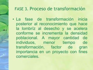 FASE 3.  Proceso de transformación La fase de transformación inicia posterior al reconocimiento que hace la lombríz al desecho y se acelera conforme se incrementa la densidad poblacional. A mayor cantidad de individuos, menor tiempo de transformación, factor de gran importancia en un proyecto con fines comerciales. 